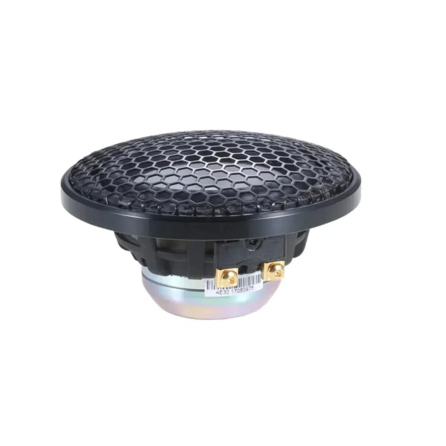 AE30 - Image 2