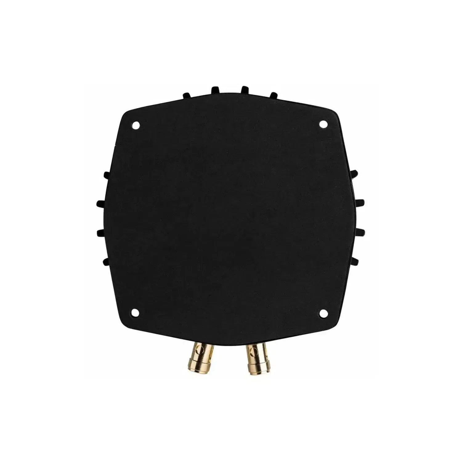 BST-1 - Image 2