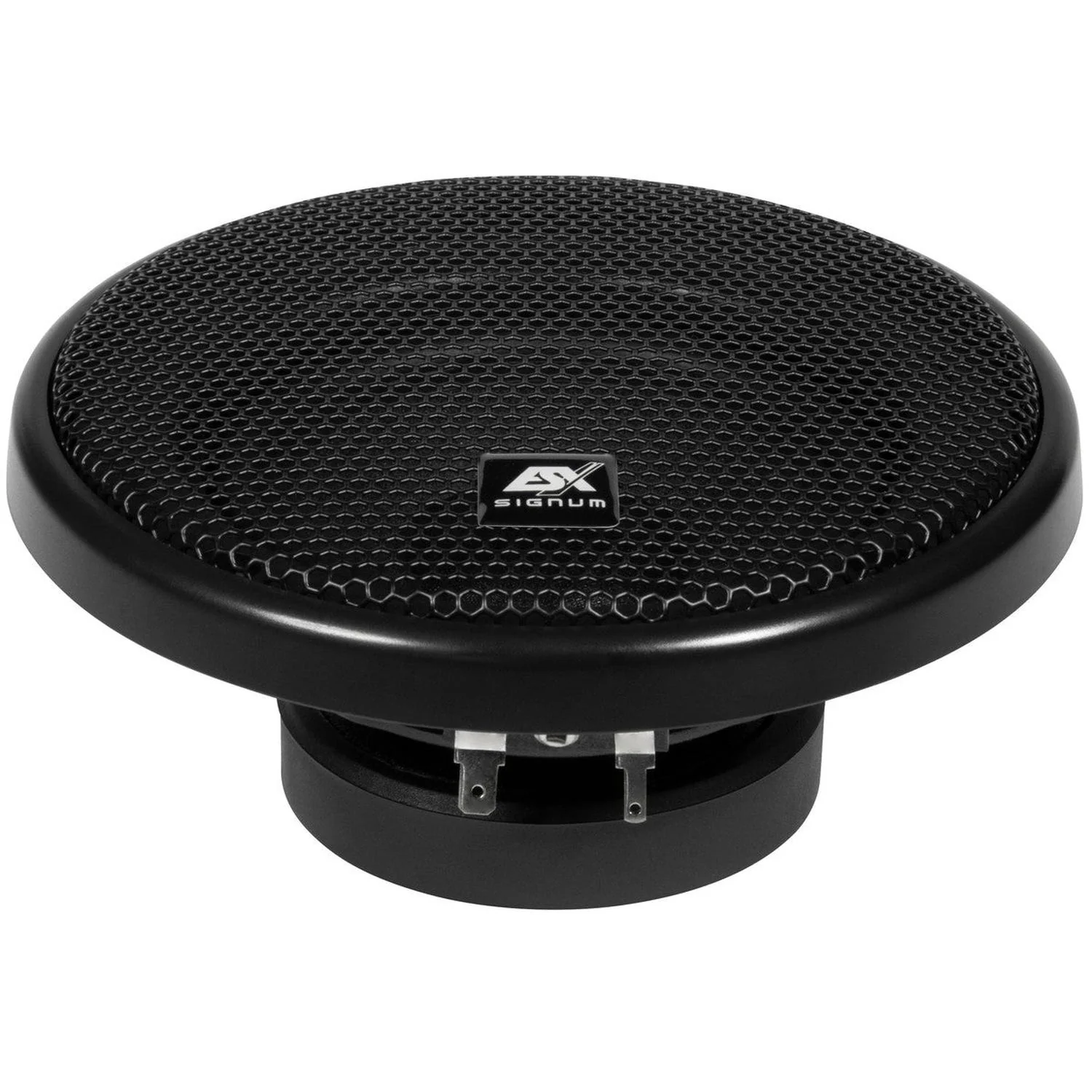 Signum SXE4.2C - Image 5