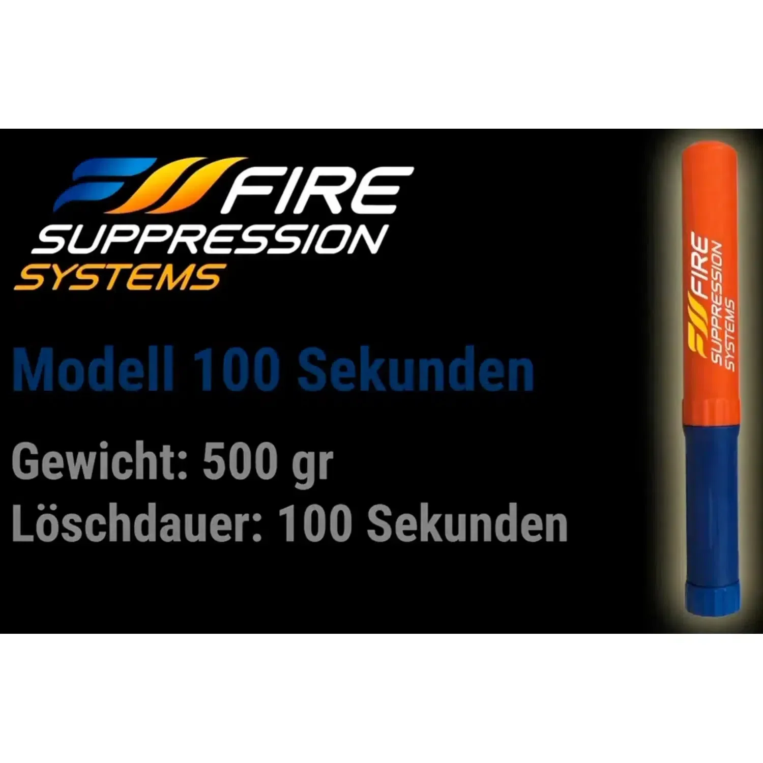 100 - Image 6