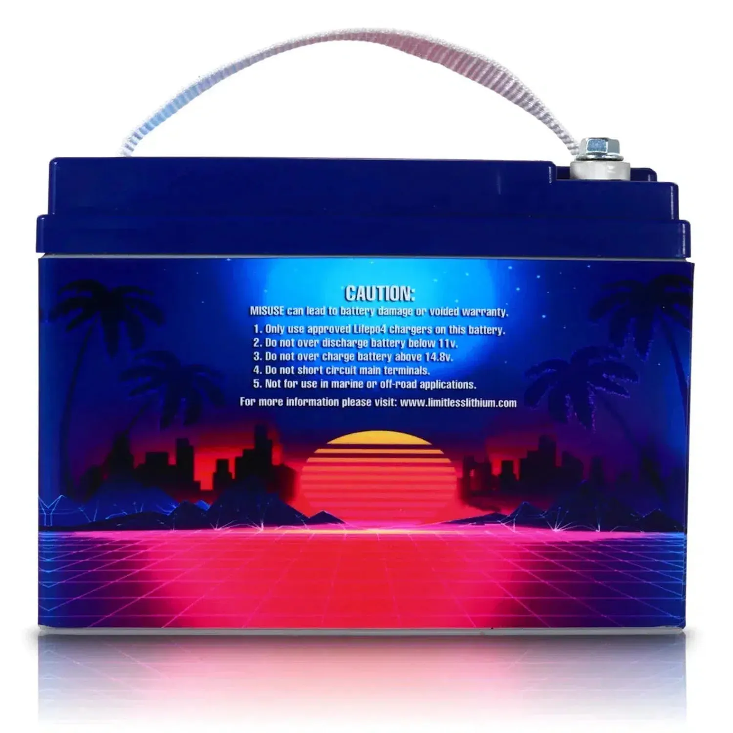 Retro Pro 30 - 30Ah LiFePO4 (B-Ware) - Image 2