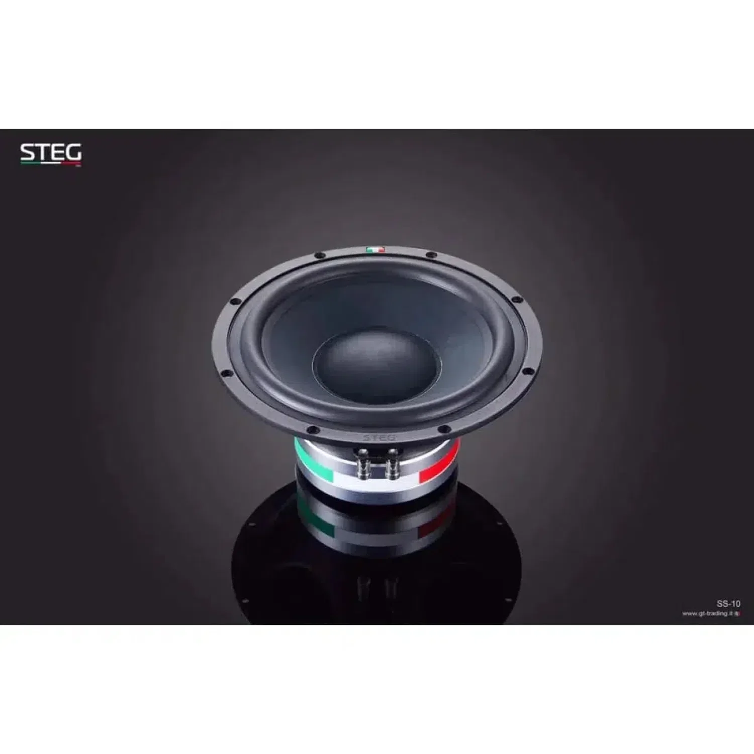 Masterstroke SS-10 - Image 2